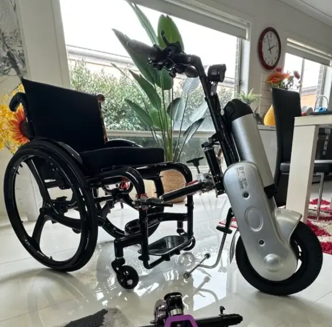 Electric Assist